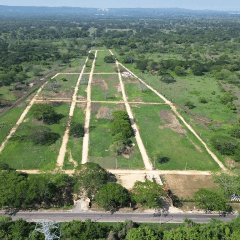 Diseño sin título (5)