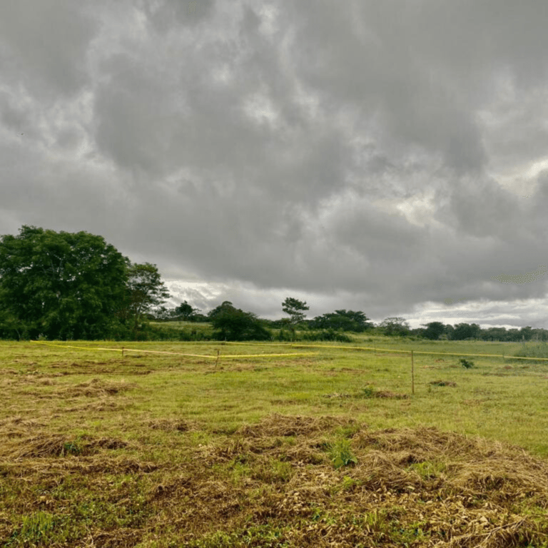 Diseño sin título (10)